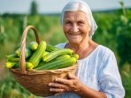 бабуся та кабачки